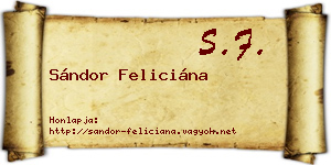 Sándor Feliciána névjegykártya